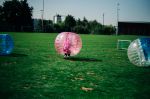 Herbstchatze_117