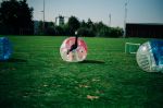 Herbstchatze_119